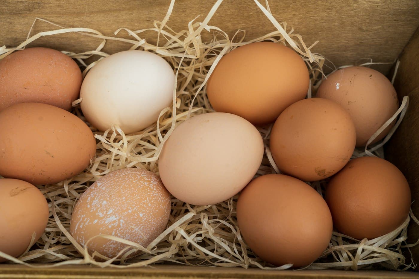 Fresh brown and cream hen eggs in straw