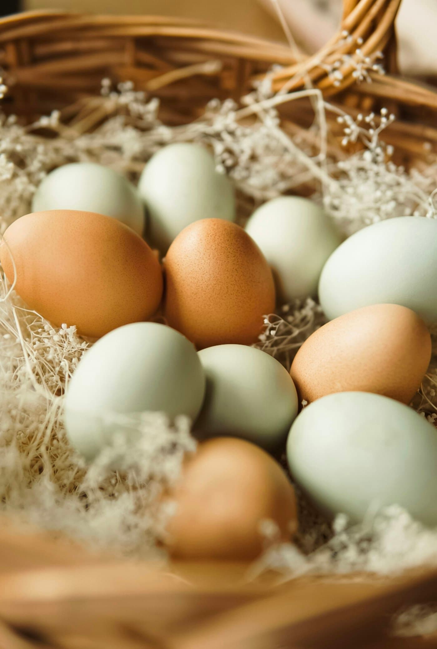 A basket of brown and pale green hen eggs